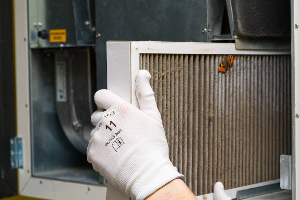 Best Affordable Duct Cleaning Services  in Circle Pines, MN
