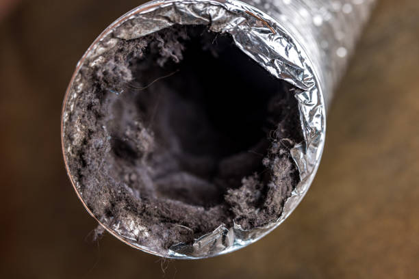 Best HVAC Duct Inspection Services  in Circle Pines, MN