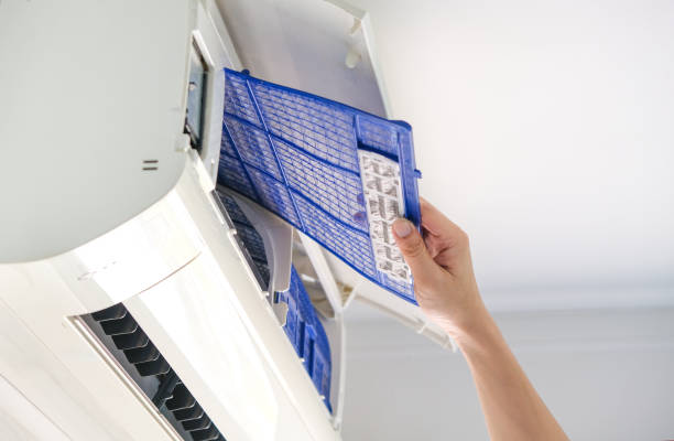 Best Affordable HVAC Duct Cleaning  in Circle Pines, MN