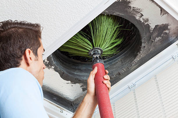 Best Air Duct Cleaning Near Me  in Circle Pines, MN